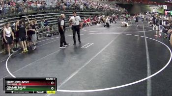 275 lbs Round 3 (6 Team) - Kameron Hazelett, Indiana Gold vs Matthew Kelley, Team Rogue