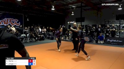 Erin Herle vs Fabiana Jorge 2019 ADCC North American Trials