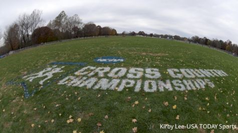FloTrack To Live-Stream 2019 NCAA DI, DII, DIII Cross Country Championships