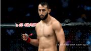 Top Turtle MMA Podcast: Featuring Dominick Reyes