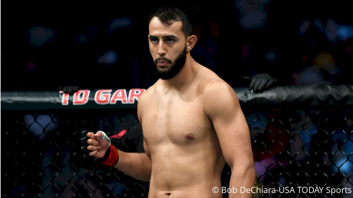 Top Turtle MMA Podcast: Featuring Dominick Reyes
