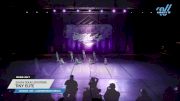 South Texas Strutters - Tiny Elite [2024 Tiny - Contemporary/Lyrical Day 1] 2024 Power Dance Grand Nationals