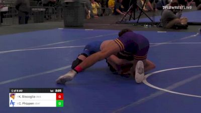 133 lbs C Of 8 #2 - Kyle Biscoglia, Northern Iowa vs Cody Phippen, Air Force