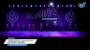 Premier Athletics - Knoxville North - Leopard Sharks [2024 Junior - Jazz - Small Day 2] 2024 GROOVE Dance Grand Nationals