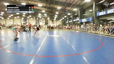 120 lbs Consi Of 8 #1 - Breckin Henry, WY vs Bennet Palmeri, NY