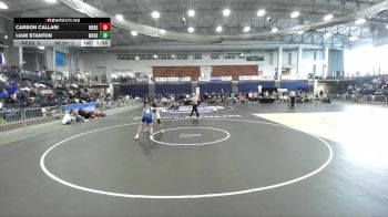 110 lbs Round 3 (3 Team) - Carson Callari, Webster Schroeder High Sch vs Liam Stanton, Maine-Endwell Sr HS