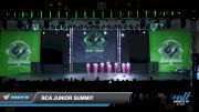BCA Junior Summit [2022 Junior - Jazz - Small Day 3] 2022 CSG Schaumburg Dance Grand Nationals