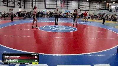 132 lbs Round 3 (4 Team) - Peyton Guiliani, HEAVY HITTING HAMMERS vs Mills Banton, HANOVER HAWKEYE