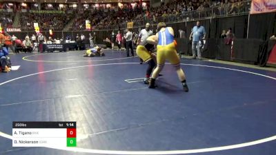 250 lbs Round Of 32 - Anthony Tigano, Riverview vs Owen Nickerson, Corry