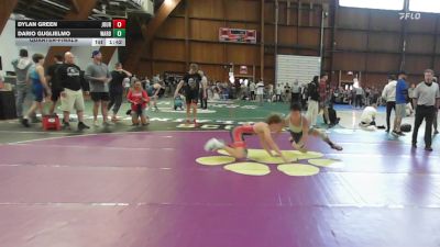 119 lbs Quarterfinal - Dylan Green, Journeymen/shenendehowa vs Dario Guglielmo, Ward Melville Hs