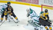 WCHA Watch Guide: Week Of February 10