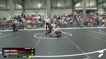 135 lbs Quarterfinal - Abram Owings, Salina vs Ethan Williams, DC Gold