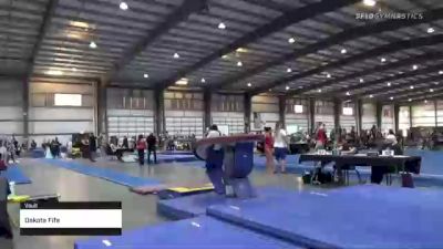 Dakota Fife - Vault - 2021 Region 1 Women's Championships