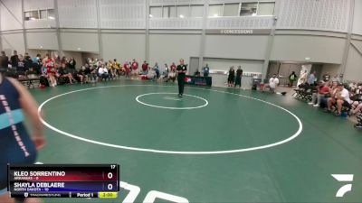 136 lbs Round 2 (4 Team) - Kleo Sorrentino, Arkansas vs Shayla DeBlaere, North Dakota