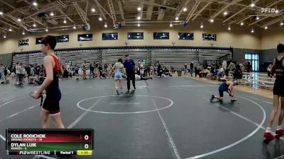 92 lbs Round 4 (8 Team) - Cole Rodichok, Virginia Patriots vs Dylan Luik, Kraken