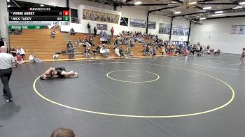 157 lbs Semifinal - Nico Taddy, West Liberty vs Vinnie Abbey, Indiana Tech