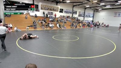 157 lbs Semifinal - Nico Taddy, West Liberty vs Vinnie Abbey, Indiana Tech