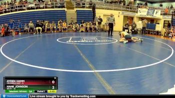 90 lbs Semis (4 Team) - Hank Johnson, Delta vs Ayden Hamm, Columbus East