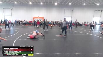 75 lbs Round 3 - Amelia Stafford, LA Elite Wrestling vs Nate Quagliariello, Chapin Youth Wrestling