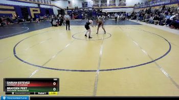 165 lbs Quarterfinal - Brayden Peet, Wisconsin-Whitewater vs Darian Estevez, University Of Chicago