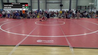 65 lbs Final - Talan Hartig, Houston vs Liam Gavin, Rochester Mills