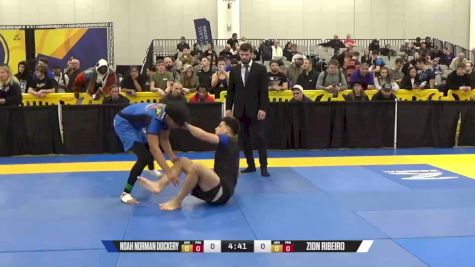 Zion Ribeiro vs Noah Norman Dockery 2024 World IBJJF Jiu-Jitsu No-Gi Championship