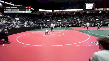 110 lbs Champ. Round 2 - Ayden Hudson, BKV1 vs Tucker Kurzhals, ELR1