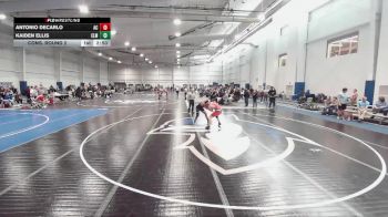157 lbs Cons. Round 2 - Antonio DeCarlo, Albright College vs Kaiden Ellis, Elmira College