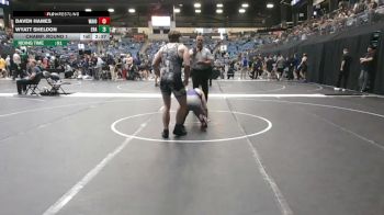 174 lbs Champ. Round 1 - Wyatt Sheldon, Embry-Riddle (Ariz.) vs Daven Hames, Waldorf (Iowa)