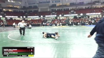 132 lbs Quarterfinal - Nate Galloway, Rocky Mountain vs Ryan Amoureux, Meridian