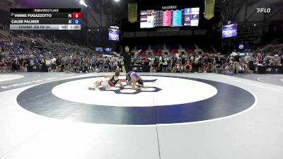 165 lbs Champ. Rd Of 64 - Vinnie Fugazzotto, PA vs Caleb Palmer, AZ