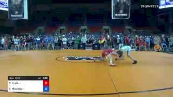 100 lbs Quarterfinal - Dru Ayala, Iowa vs Seth Mendoza, Illinois