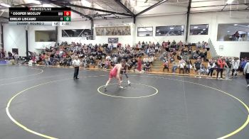 165 lbs Champ. Round 2 - Emilio Liscano, Indiana Tech vs Cooper McCloy, Wabash