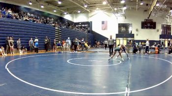 100 lbs Quarterfinal - Sydney Branch, Prince George vs Caroline Crabtree, Courtland