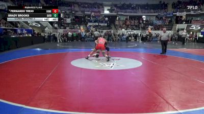 6A 165 lbs Cons. Round 3 - Fernando Trejo, Homewood Hs vs Brady Brooks, Gardendale Hs