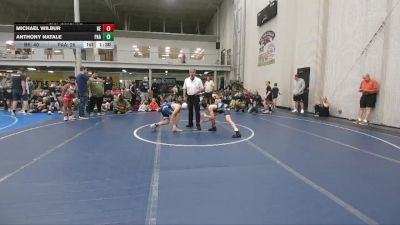 96 lbs Round 1 (6 Team) - Michael Wilbur, Brawler Elite vs Anthony Natale, PA Alliance