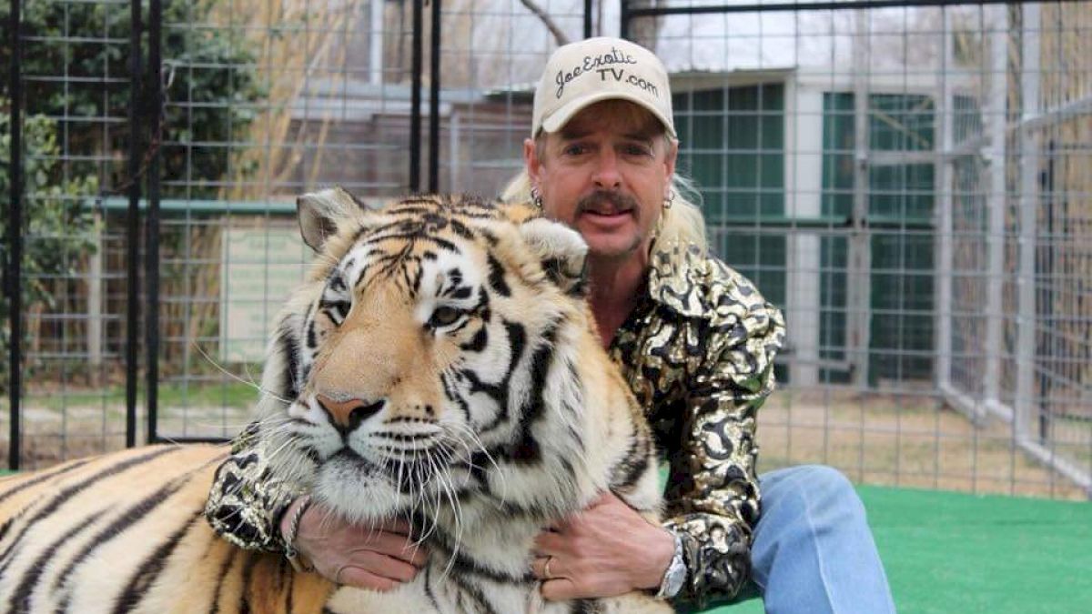 Spey's Tiger King Blog