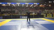 Valerie Ziyue Pei vs Zerenity Love Garcia 2025 Pan Kids Jiu-Jitsu IBJJF Championship