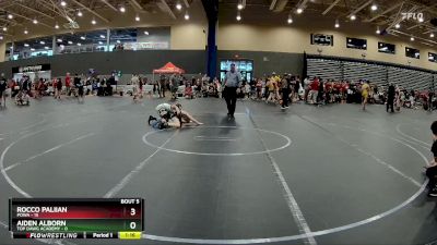 84 lbs Round 3 (4 Team) - Rocco Paliian, POWA vs Aiden Alborn, Top Dawg Academy