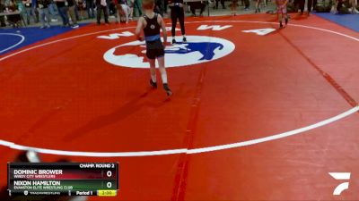 59 lbs Champ. Round 2 - Dominic Brower, Windy City Wrestlers vs Nixon Hamilton, Evanston Elite Wrestling Club