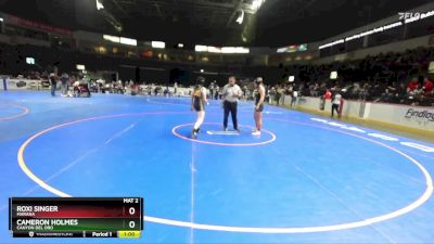 138 lbs Cons. Round 3 - Cameron Holmes, Canyon Del Oro vs Roxi Singer, Marana