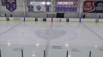 Replay: Home - 2024 Wolves vs WBS Knights | Sep 21 @ 4 PM