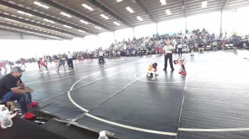 65 lbs Consi Of 4 - Andy Barela, New Mexico Bad Boyz vs Urijah Ayala, Sebolt Wrestling Academy