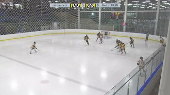 Replay: Home - 2024 Pandas Black vs Pandas Gold | Jan 21 @ 5 PM