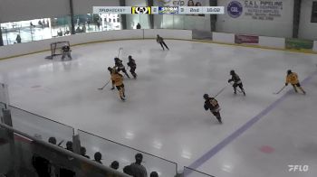 Replay: Home - 2024 Pandas Gold vs Storm | Feb 4 @ 10 AM