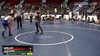 130 lbs Round 2 (4 Team) - Avery Lane, Alpha Elite vs Jacob Harris, BadBass