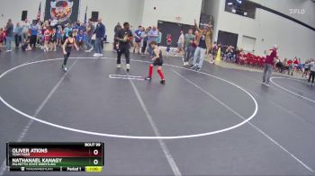 58 lbs Round 5 - Nathanael Kanagy, Palmetto State Wrestling vs Oliver Atkins, Team Tiger