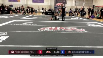 Robert McGhee vs Tim Riegelman 2024 ADCC Chicago Open