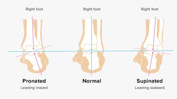 difference between pronation and supination