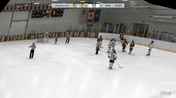 Replay: home - 2023 PMHA U18 (F) vs Delta Green U18 (F) | Oct 29 @ 7 AM